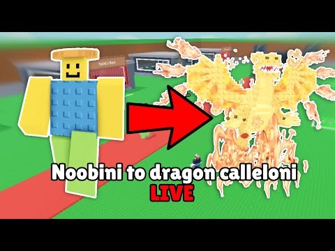 Noobini jusqu'au dragon calleloni live 🔴🇫🇷