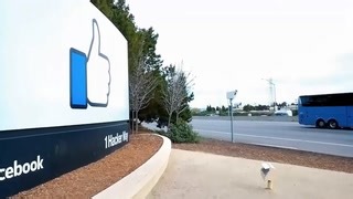 Meta faces wave of litigation over social media platforms' impact on children