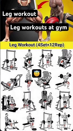 Top fitness suggested leg workouts: leg best workouts at gym top leg workout #legworkoutroutine #gym