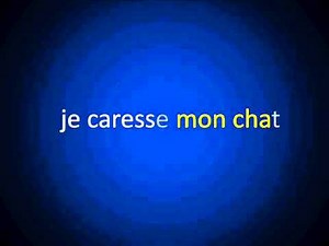 Francés - Lección 43 - Diferencias Entre COD y COI