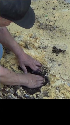Basics of starting a garden step 3