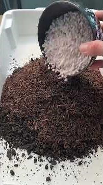Como preparar o melhor substrato para suas plantas #plantas #nikplantas #substrato #paideplanta
