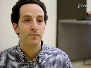 通过CRISPR/Cas9技术在哺乳动物细胞中进行基因组编辑_高清1080P在线观看平台_腾讯视频