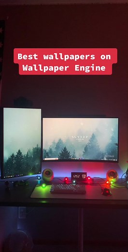 Setup Support on TikTok