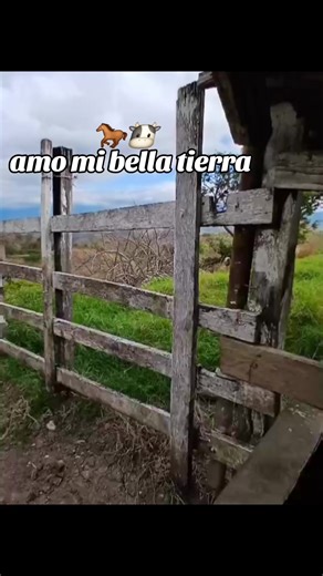 Videos de Belber Ardon (@belber.ardon) con “sonido original - Belber Ardon”