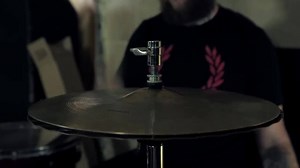 21K views · 288 reactions | Who caught our new video for "Everyone...