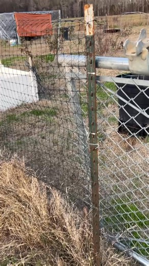 $150 • 20 T Posts and Deer fencing I am selling (twenty) 5 & 6 foot long- T Posts for: $150 Selling 320 feet of Vinyl Tenax Deer Fencing for: $50 https://www.facebook.com/marketplace/item/4048050622112550/ | Se Anna Tastic