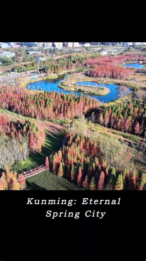 Kunming: China’s “Spring City” 🌸 | Stone Forest & Peaceful Parks