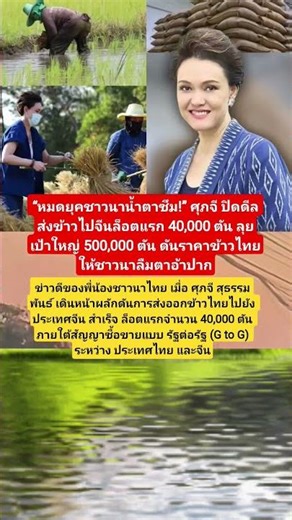 #ข่าวดีชาวนา#ข้าวไทย#ส่งออกข้าว#ตลาดจีน#ชาวนาไทย#เศรษฐกิจไทย