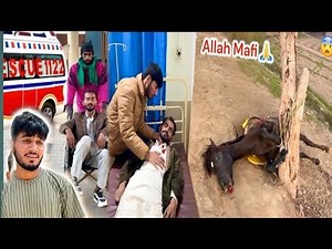 Hamza Shikari Ko Hospital La Gy || Hammad Pet House 🏠