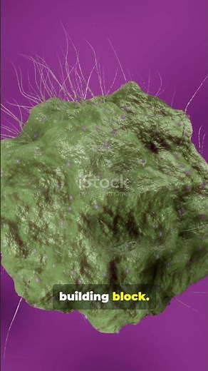 🌱 Cell – The Unit of Life