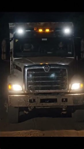 Night Crash: Logging Truck Collides with Elephant on Dark Road