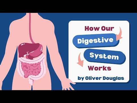Oliver's Digestive System Project