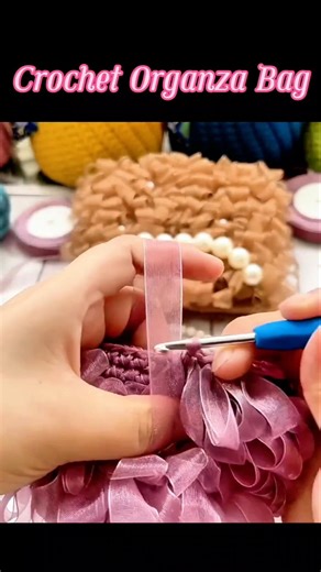 Crochet Organza Clutch