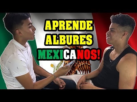 ¿CÓMO APRENDER A ALBUREAR? ¡LOS MEJORES ALBURES MEXICANOS!