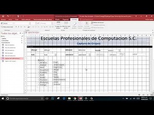 Microsoft Access Control Grupos de opciones