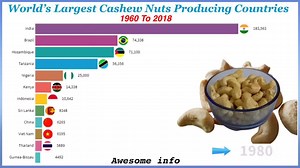 World's Largest Cashew Nuts Producing Countries | Awesome Info