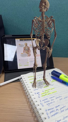 شاهد هيكل عظمي يستنزل امام سلايدات الاناتومي 🦴 #life #anatomy #nurse #skeleton #skeletonmoves #fypシ゚ #fyp #dance #nursingstudent #agu #الشهره_جايه_بس_الصبر