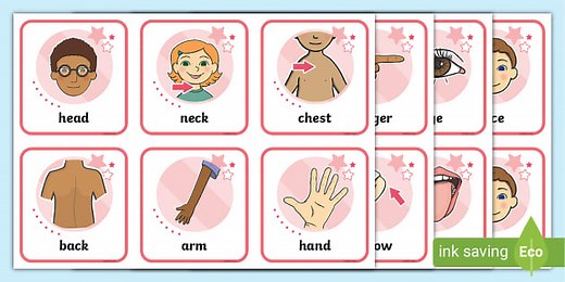 Body Parts Flashcards