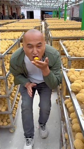 Delicious half boiled eggs 🥚🥚 | Amazing yummy boiled eggs 🤤 #egg #farming