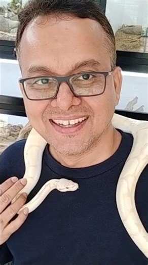 A ball python around my neck 🐍 #shorts #python #snake