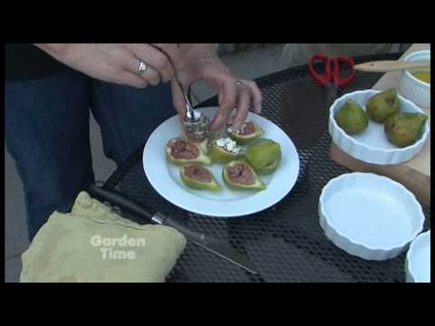 Grilling Figs