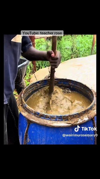 Teacher Rose on TikTok