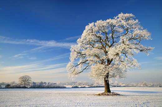 What to know about the first day of winter: Winter Solstice 2025