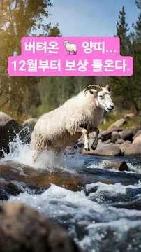 올해 가장 힘들었던 🐑양띠… 12월부터 인생 그래프 상승 시작된다. #띠별운세 #양띠운세 #2025년12월운세 #12월운세 #운세 #무료운세 #무료사주 #명리학