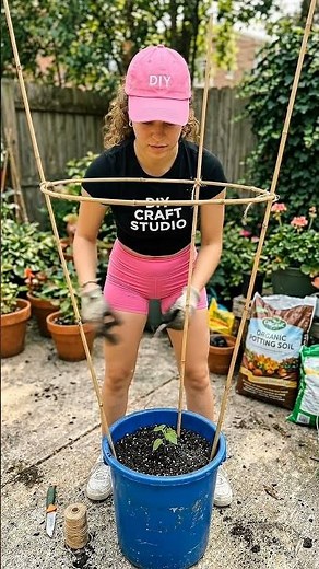 Grow Tons of Bitter Melon in a Bucket! 🍈✨ DIY Vertical Trellis