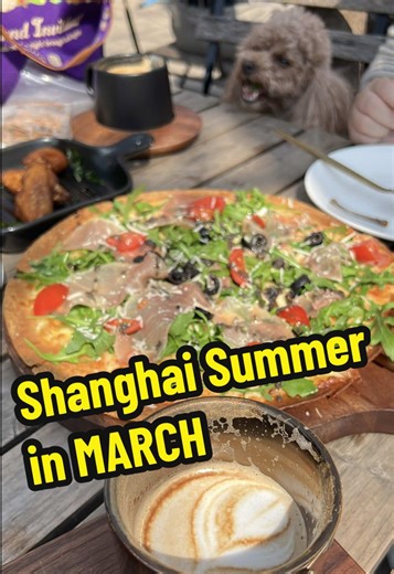 Summer has come early in Shanghai this year with almost 30 degrees Celsius today 😀🥵☀️ let’s enjoy it at one of Shanghai’s many dog friendly coffee shops with good food and drinks🐶 🐕 just another day in China 🇨🇳 #Summer #pizza #coffee #dogsoftiktok #shanghai #china #lovelife #summertime #Outdoors #weekendvibes