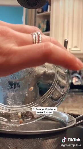 5 Steps to Grow Watermelon from Seed