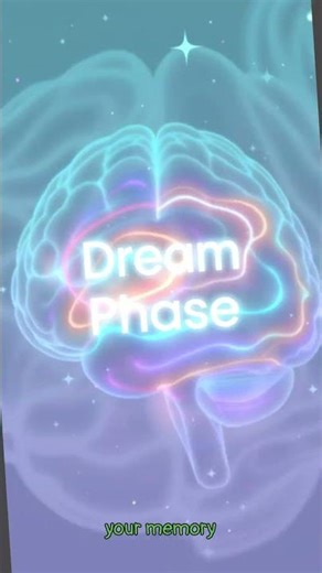 The Science of Sleep: Brain Activity & Cycles Explored in 3D