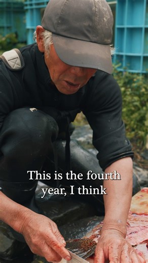 The way you feed fish makes a huge difference. #fish #fishfarm #documentary #nature