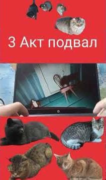 Прохожу 3 акт Hello Neighbor в подвале.