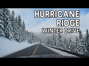 Hurricane Ridge Winter Drive (360°) | Snowy Scenic Route in Olympic National Park