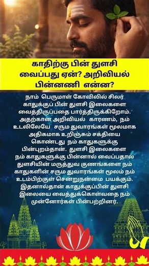 காதிற்கு பின் துளசி வைப்பது ஏன் # ulsi பெனிபிட்ஸ் # why keep tulsi behind ear