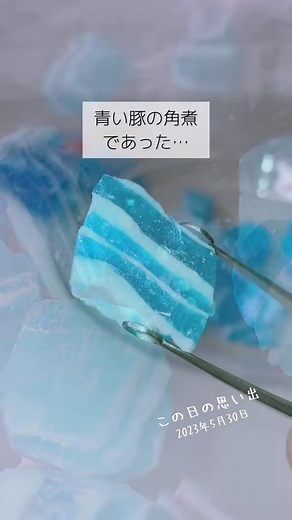 豚角🐖#思い出