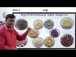 Samveda - 6th - Science - Components of Food (Part 2 of 2) - Day 14
