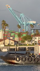 Tugboats assist container ship 👍 #ship #shipping #vessel #spotting | SLShip