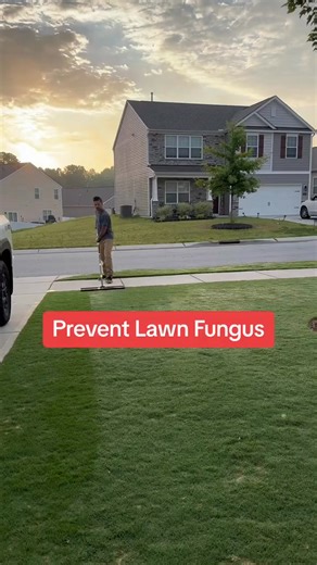 1.3K views | Wuick hack to help prevent lawn fungus from creeping in 7385575281177742623 #lawncare #la... | Brooke Tipping | Facebook