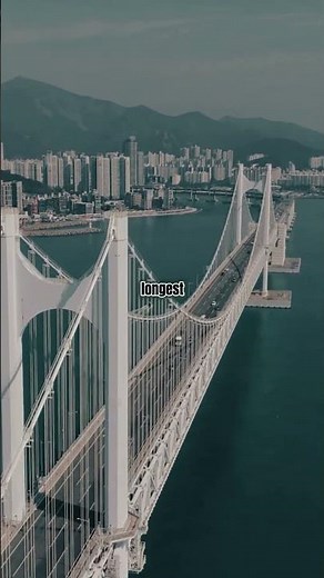 Top 5 National Bridges That Became Global Icons