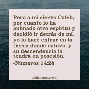 Explicación Números 14:24. 'Pero a mi siervo Caleb, por cuanto lo ha animado otro espíritu y decidió ir detrás de mí, yo lo haré entrar en la tierra donde estuvo, y su descendencia la tendrá en posesión.' - BibliaBendita