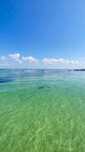🏝️No matter where you are in Destin…the view is just beautiful today! #destinflorida #view | Destin the Beautiful
