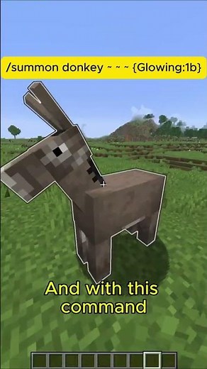 5 Secret Minecraft Commands!