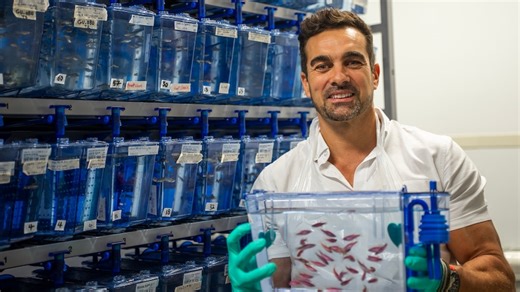 How a tank of zebrafish helped two children born with a rare genetic variant