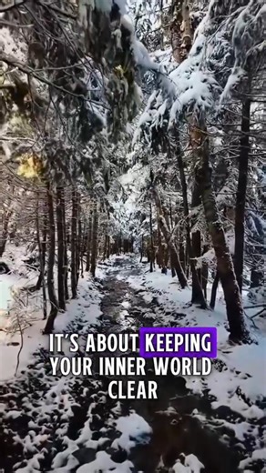 You see the more at peace you become the less you tolerate chaos. Footage: @THE SPIRIT FOREST | David Wolfe