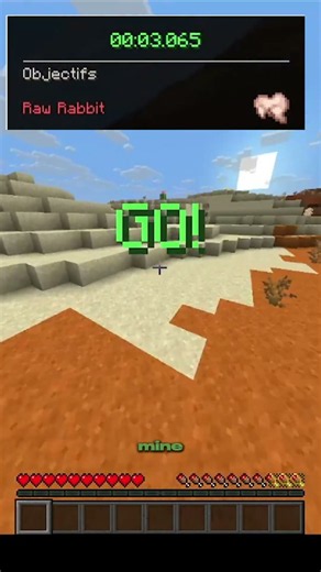 Speedrunning a raw rabbit in minecraft | Speedrunning everything #69