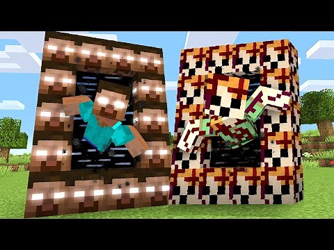 Minecraft, But There's SCARY Portals