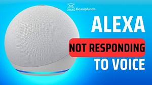 Alexa not responding to voice